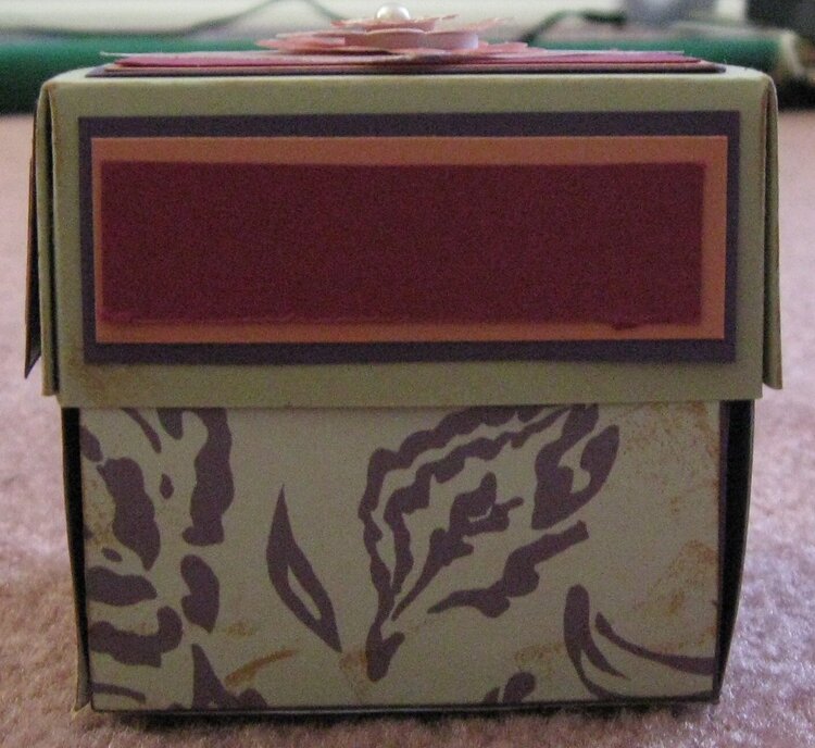 Pop-up box (side view)
