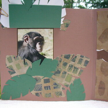 Zoo book page 7 close up