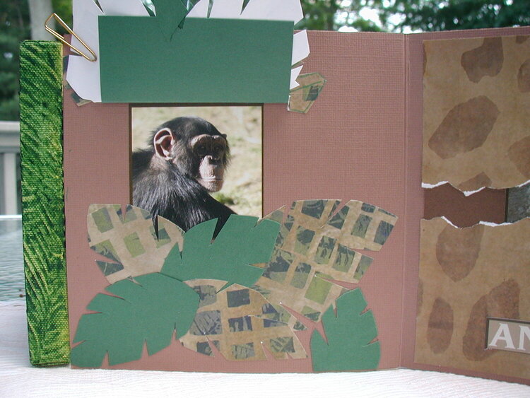 Zoo book page 7 close up