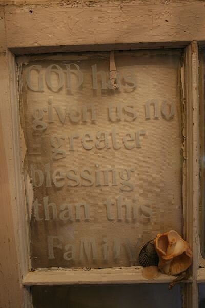 Altered Farm Frame Window - Shells