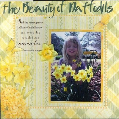The Beauty of Daffodils