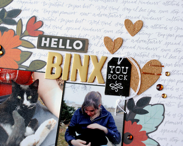 Hello Binx