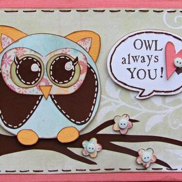 Owl Alway Love You Card