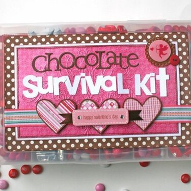 Chocolate Lover's Survival Kit