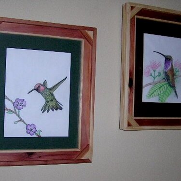 Zach&#039;s Hummingbird