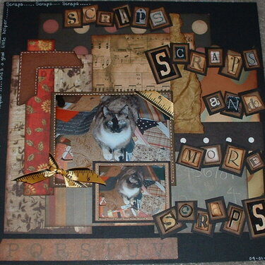 Scraps, Scraps, and more scraps!