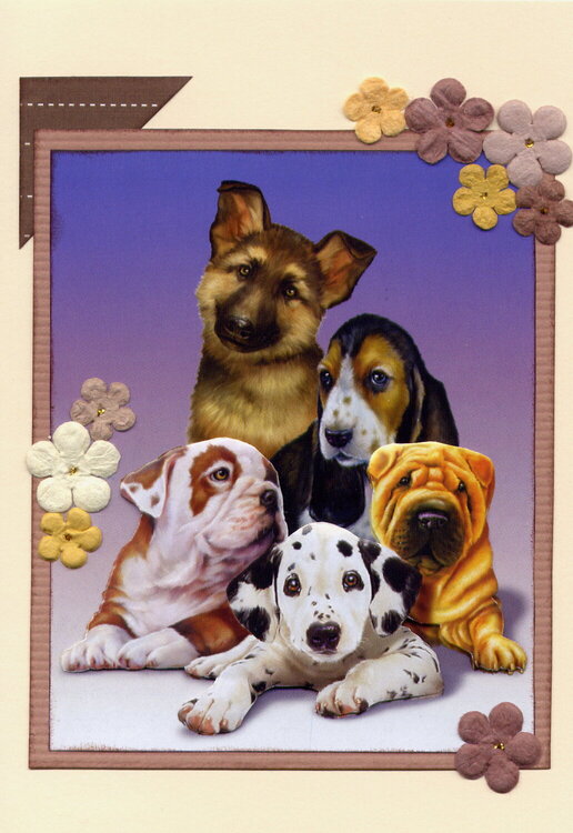 3D dog card