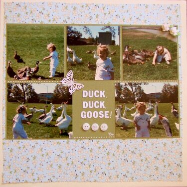 Duck, Duck, Goose..