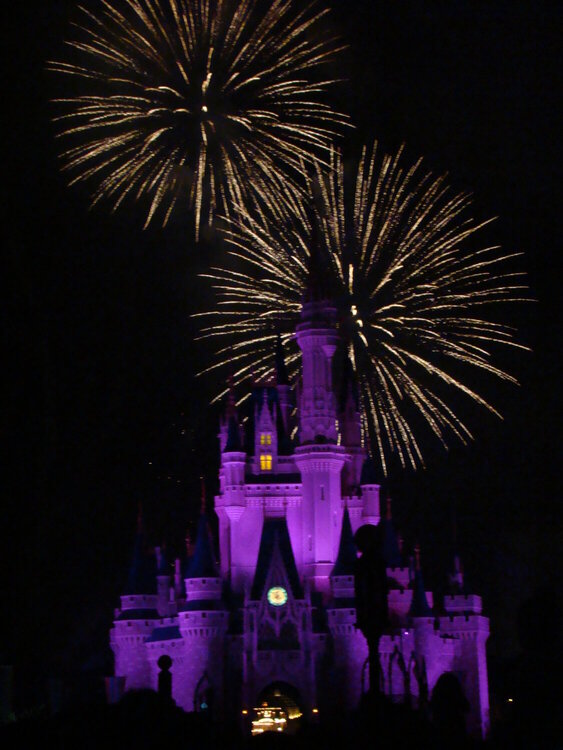 Walt Disney World June 2009