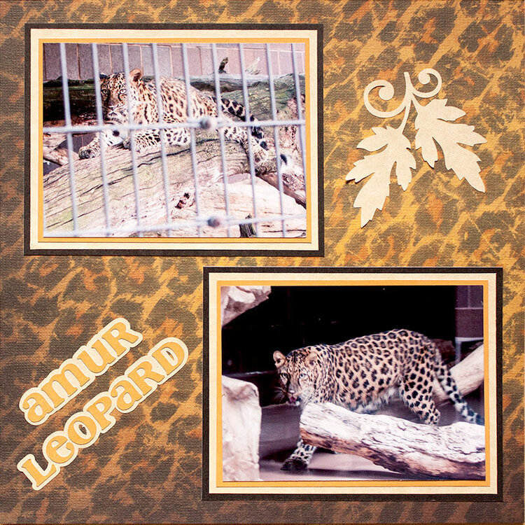 Omaha Zoo Album