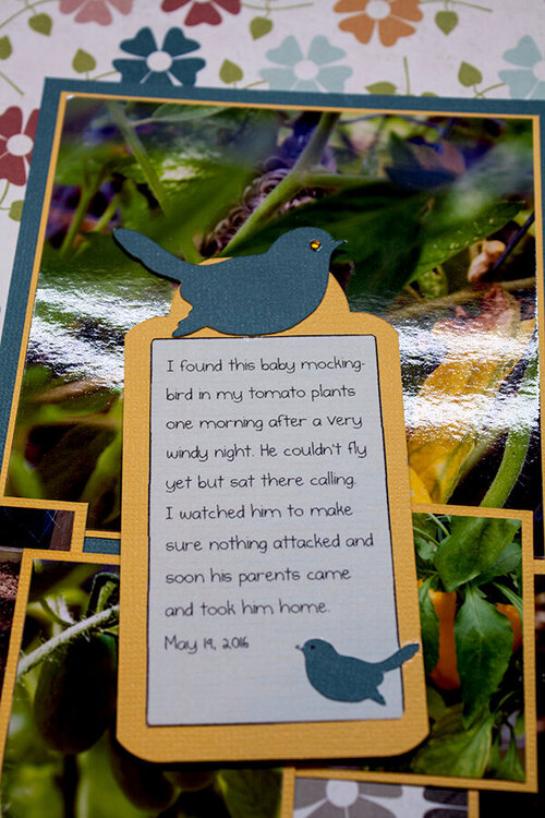 Bird Seeds hidden journaling