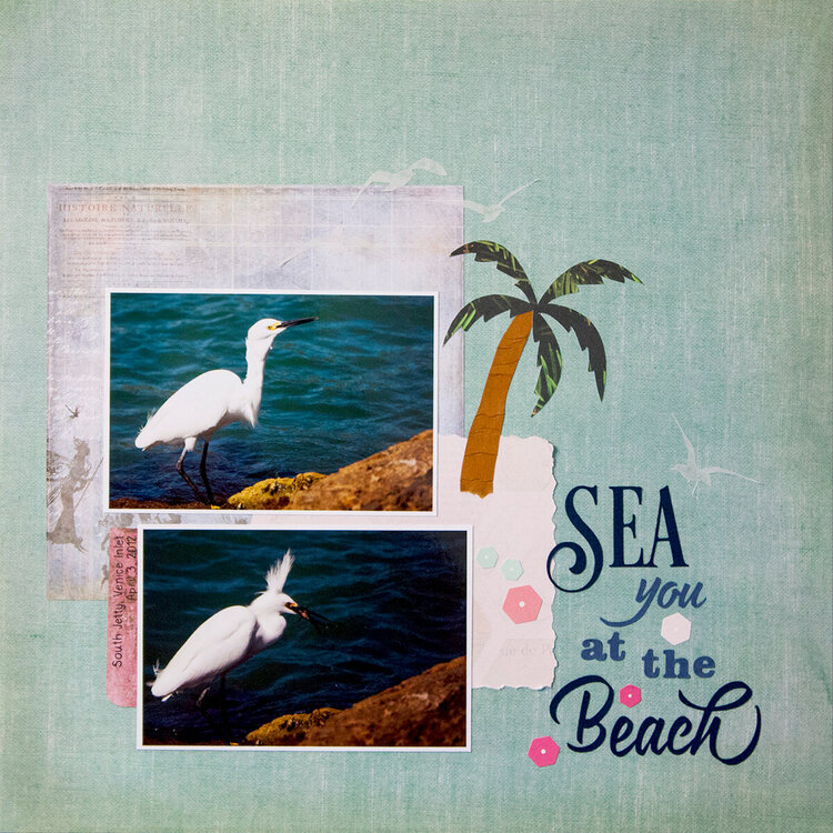 Sea you at the Beach
