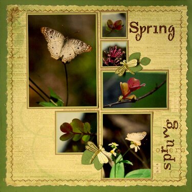 Spring has Sprung 2012