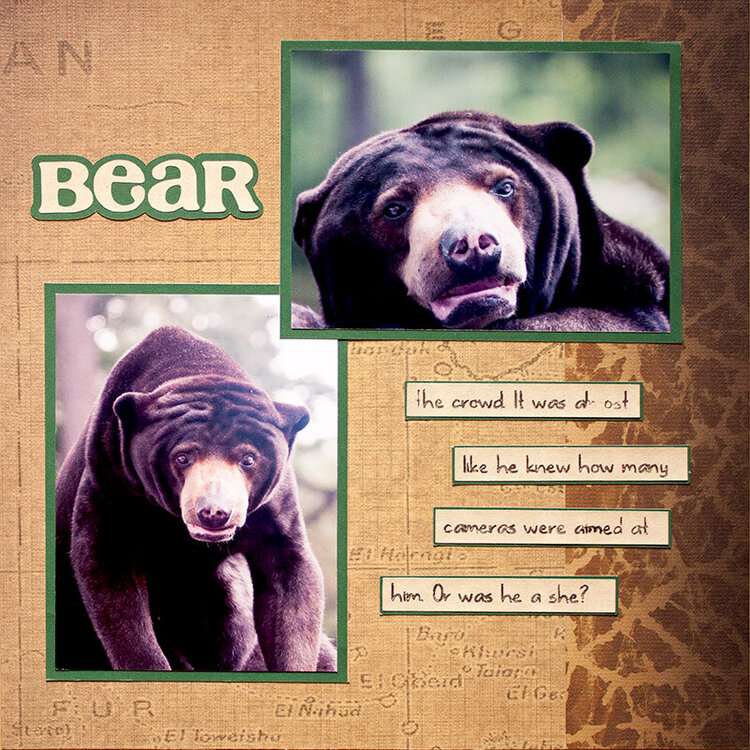 Omaha Zoo Album Project Idea