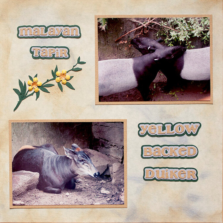 Omaha Zoo Album