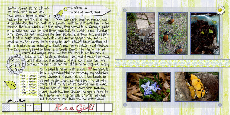 2014 - Week 8