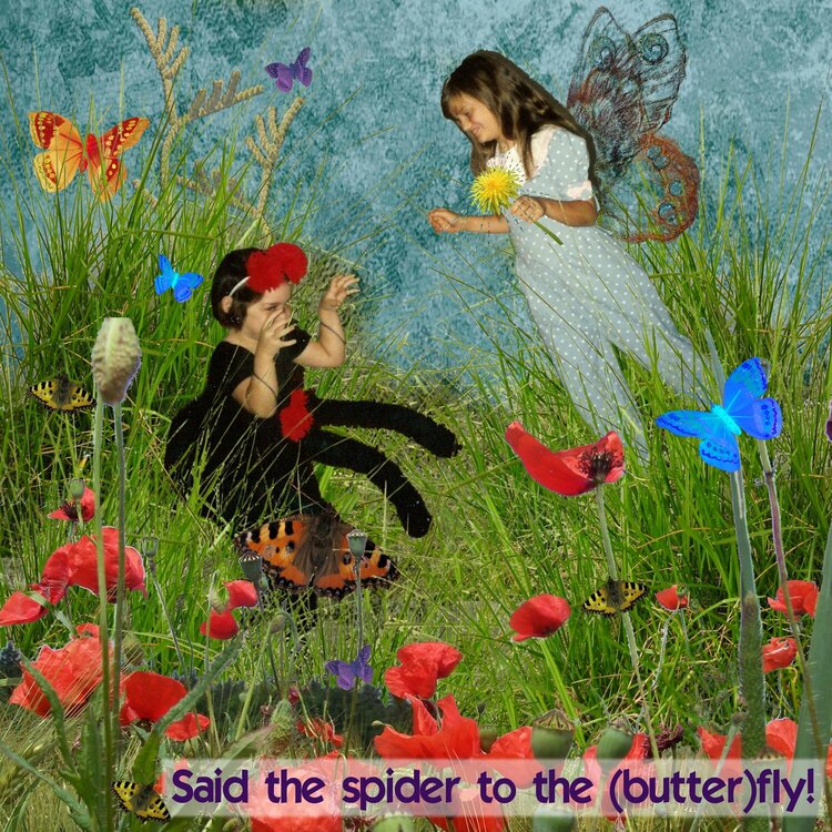Said the spider to the (butter)fly