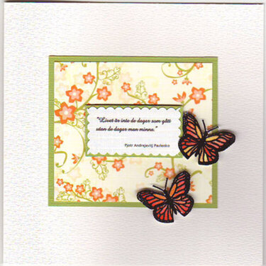 Butterfly Card