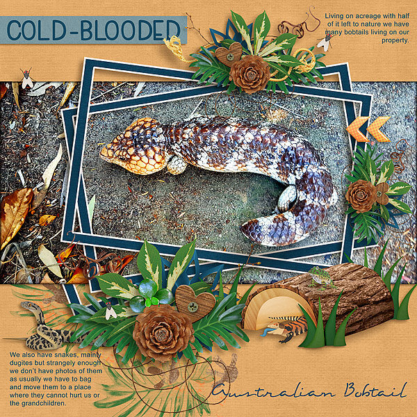 Cold Blooded - Bobtail