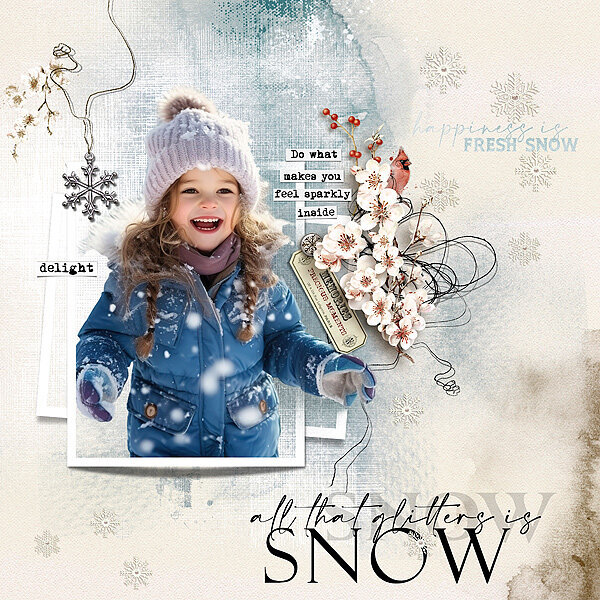 Like a Snowflake: BBD Bundle by TirAmisu Design