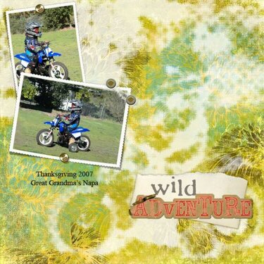wild adventure