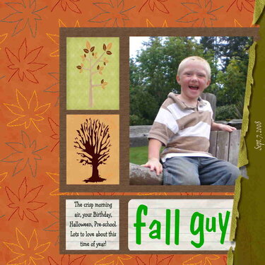 Fall Guy