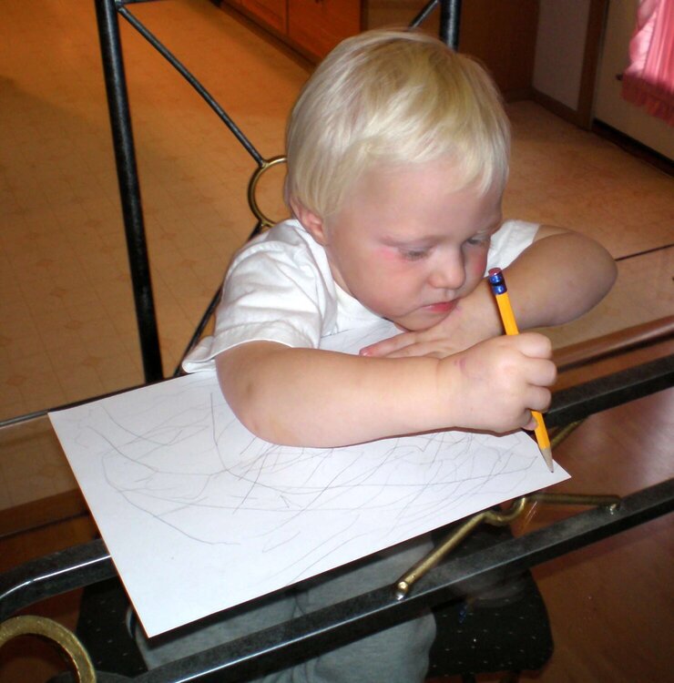 Picasso in training