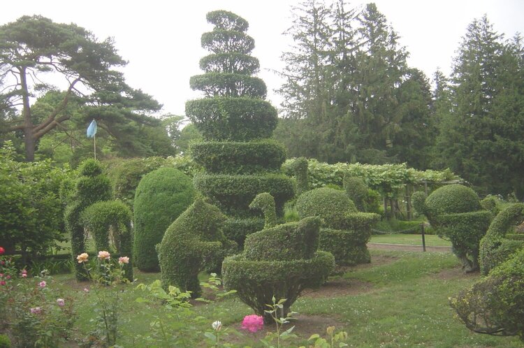 topiary garden