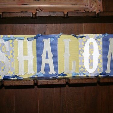 SHALOM- Shalom Scrapper DT