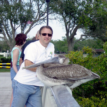 hubby with pelican
