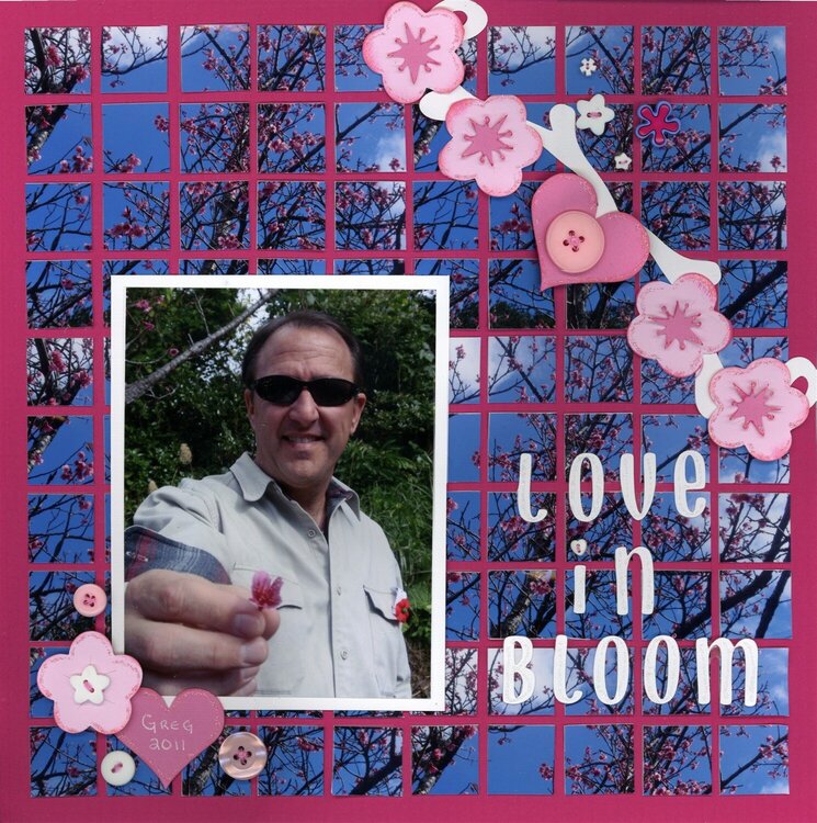 Love In Bloom