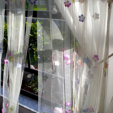 April 8 - curtains