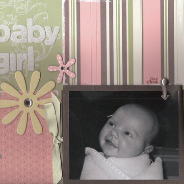Jacqueline&#039;s Baby Book--Baby Girl