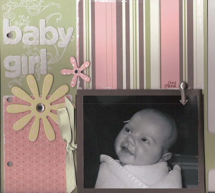 Jacqueline&#039;s Baby Book--Baby Girl