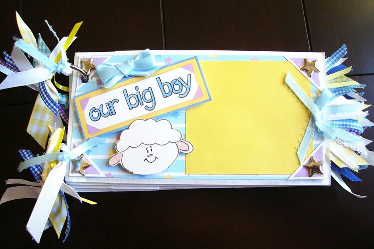 Baby Boy Book Cover