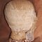 Ancient Evil Mummy Head