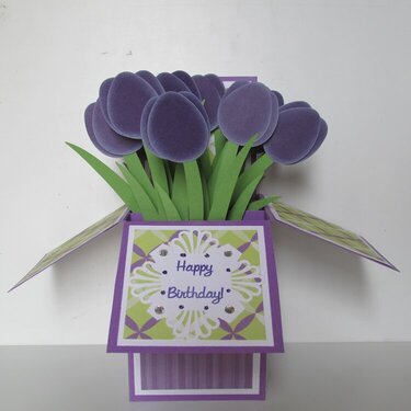 Tulip Happy Birthday Pop Up Box Card