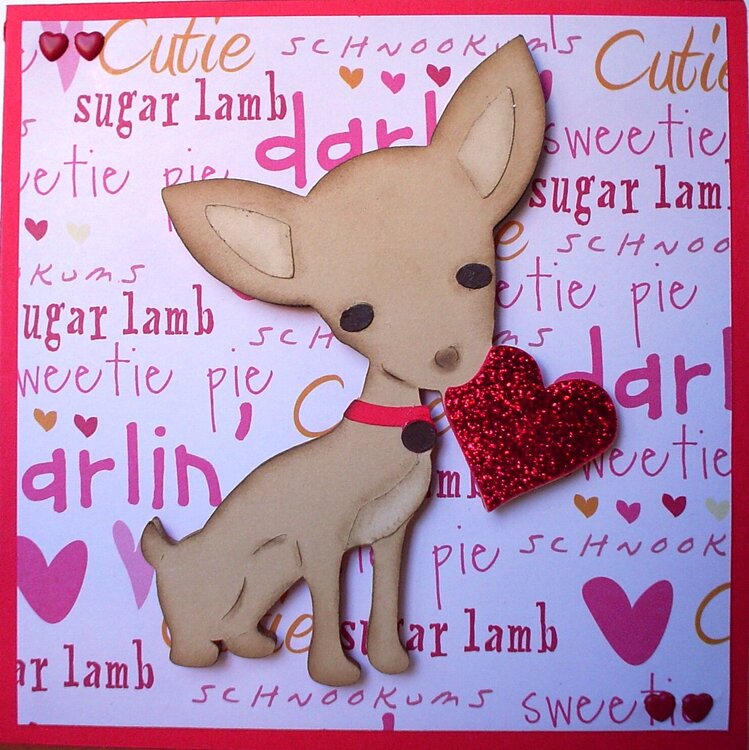 Chihuahua Valentine