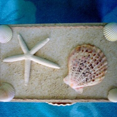 Seashell Box