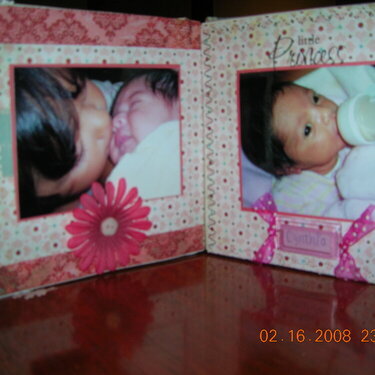 mini album for SIL (inside)