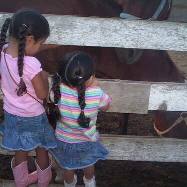 MY little cowgirls YEEHHAAA!!!!
