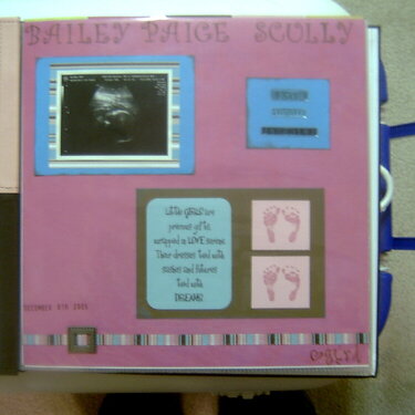 Bailey&#039;s baby book