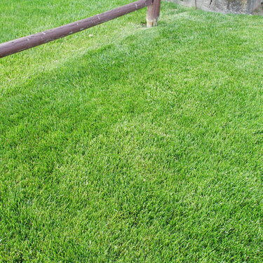 May Photohunt Challenge ~ Freshly Mowed Grass (10 pts.)