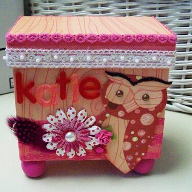 Altered Owl Box for Katie