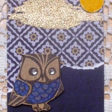 Owl ATC