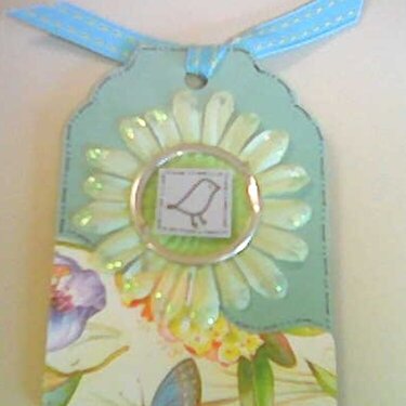 Spring Tag for swap