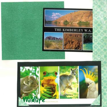 Elles Earthwatch Postcards