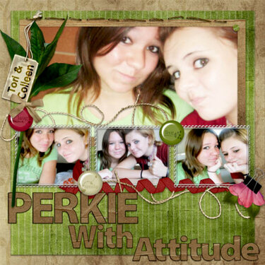 Perkie with Attitude
