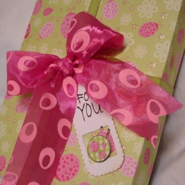 LADYBUG GIFT BAG