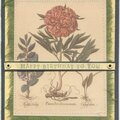 Botanical  Birthday Card 